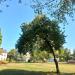 Park miejski