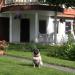 Männi Guesthouse в городе Хаапсалу