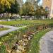 The church grounds in Stockholm city