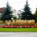 Skwer in Olsztynek city