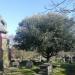 All Saints' Churchyard Childwall