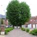 Welkomstlindes (nl) in Tienen city