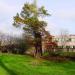 Refugiehuis - park (nl) in Tienen city