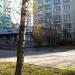 Нерегулируемый пешеходный переход в городе Реутов