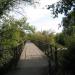 Pedestrian Bridge in Kursk city