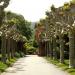 Filoli