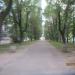 Бульвар в городе Череповец