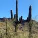 Piestewa Peak  in Phoenix, Arizona city