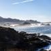 Point Lobos State Natural Reserve