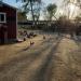 Emma Prusch Farm Park in San Jose, California city