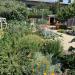 Emma Prusch Farm Park in San Jose, California city