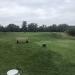 Plum Hollow Country Club