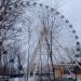 Колесо обозрения «Звезда Череповца» в городе Череповец