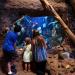 Turtle Bay Exploration Park
