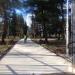 Karađorđe's Park in Podgorica city