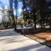 Karađorđe's Park in Podgorica city