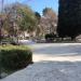 Park in Podgorica city