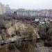 «Дикий (Собачий) пляж» в городе Воронеж