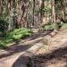 Andy Goldsworthy's Wood Line in San Francisco, California city