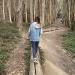 Andy Goldsworthy's Wood Line in San Francisco, California city