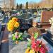 Cmentarz komunalny in Starachowice city
