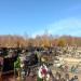 Cmentarz komunalny in Starachowice city