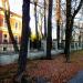 Park przyszpitalny in Łódź city