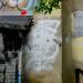 Graffiti in Łódź city