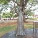 Estátua de Elis Regina na Porto Alegre city