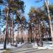 Парковые насаждения в городе Харьков