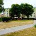 Zieleniec (pl) in Hel city