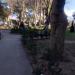 Luchki Park in Budva city