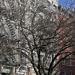 331 West 21st Street in New York City, New York city