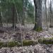 Фундамент финского дома (хутор Ahokas) в городе Санкт-Петербург