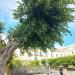 Piazzetta (it) in Noto city