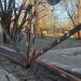 Перекрытие дороги в городе Москва
