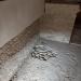 Pierwszy apartament prywatny (pl) in Piazza Armerina city