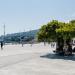 Глициния (ru) in Yalta city