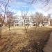 Яблоневый сад в городе Коломна