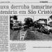 Árvore histórica (pt) in Rio de Janeiro city