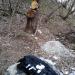 Swamp (en) в городе Харьков