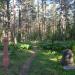 The old Orthodox cemetery in Lebyazhye city