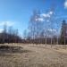 Центральная часть Чудо-поляны. в городе Гатчина