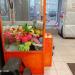 Автомат с игрушками в городе Череповец