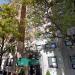 237 East 20th Street in New York City, New York city