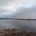 Отмель в городе Череповец