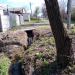 Джерело (uk) в городе Харьков