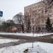 Зеленая зона в городе Череповец