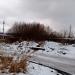 Заросли в городе Череповец