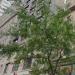 48-52 East 21st Street in New York City, New York city